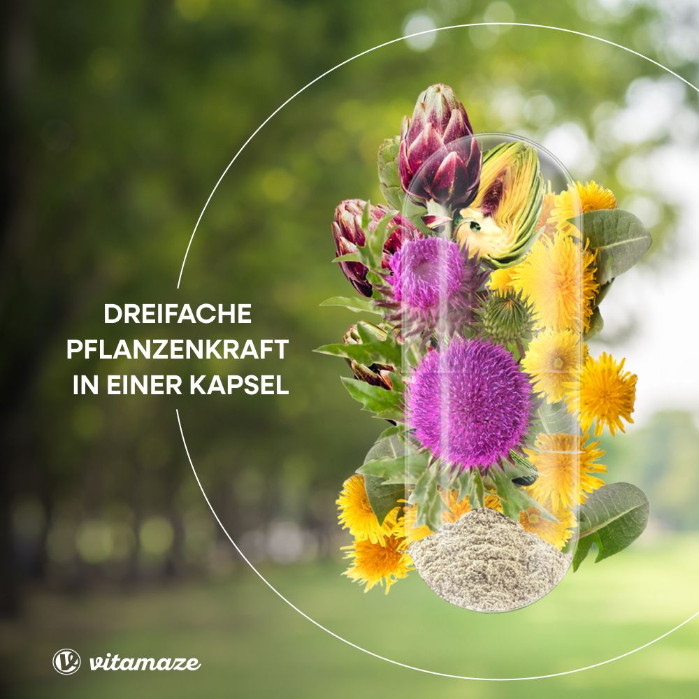 Gélule avec plantes. Texte : Triple pouvoir des plantes dans une gélule. Chardon-Marie, artichaut, pissenlit.