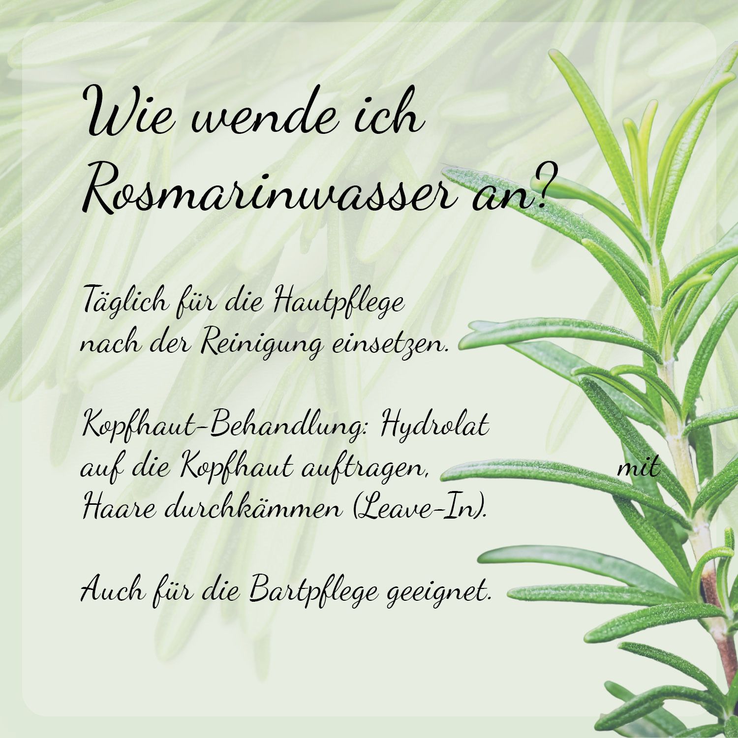 Casida® Rosmarinwasser Haut und Haare