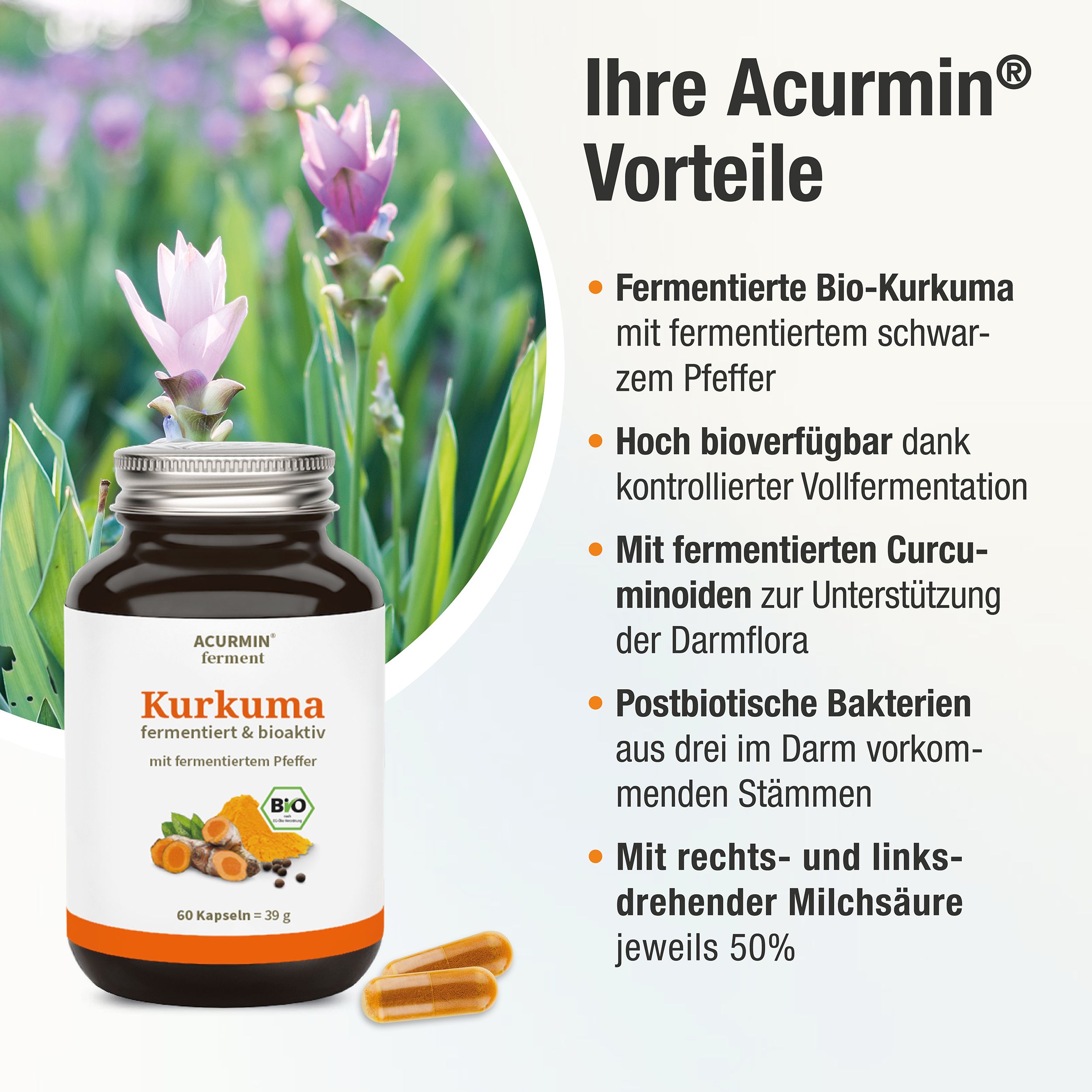 Flacon de gélules de curcuma, texte et illustrations à côté. Inscription : Acurmin ferment, Kurkuma fermenté & bioactif.
