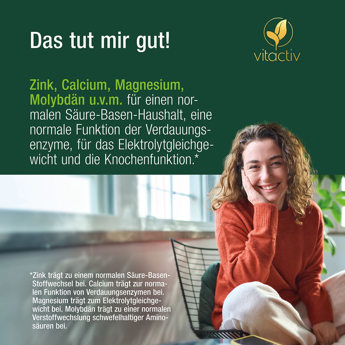 Vitactiv - Mineral Complex Vegan - mit Zink für den Säure-Basen-Stoffwechsel