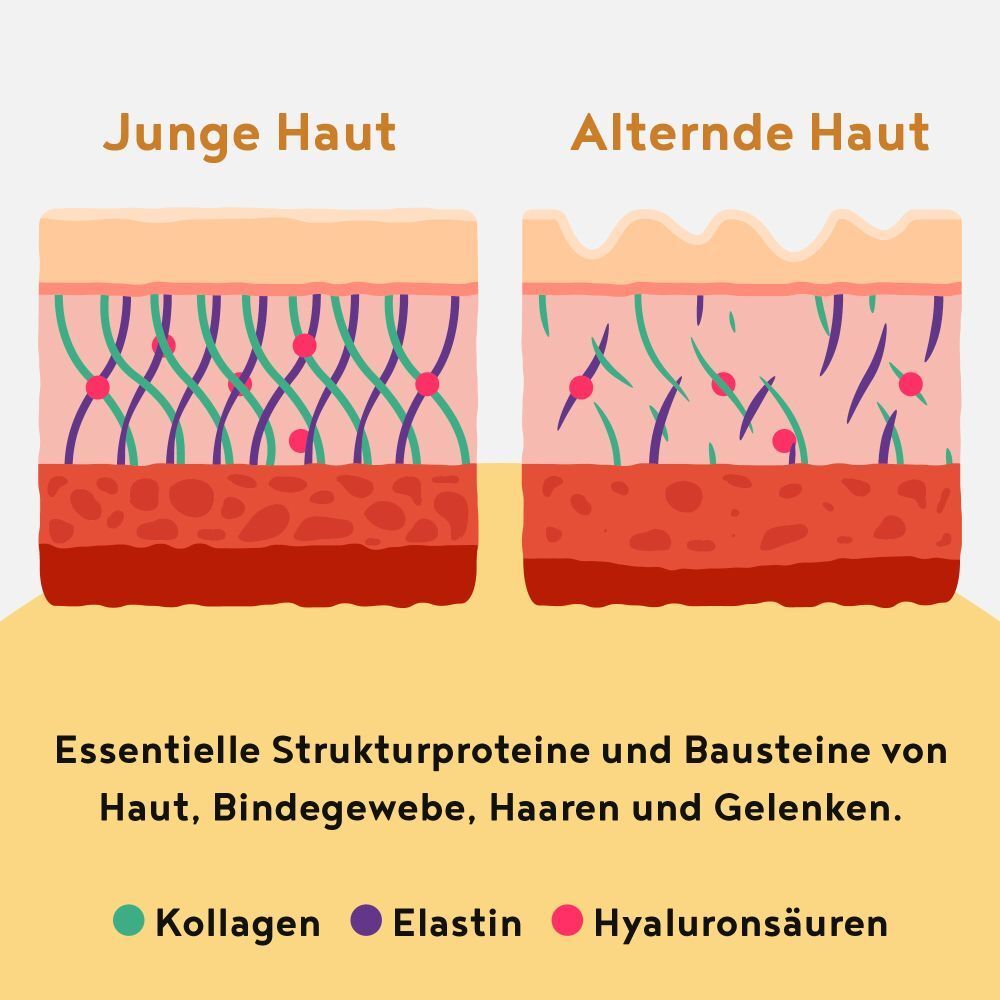 ALPHA FOODS Kollagen Elastin+ Hyaluronsäure Vanille