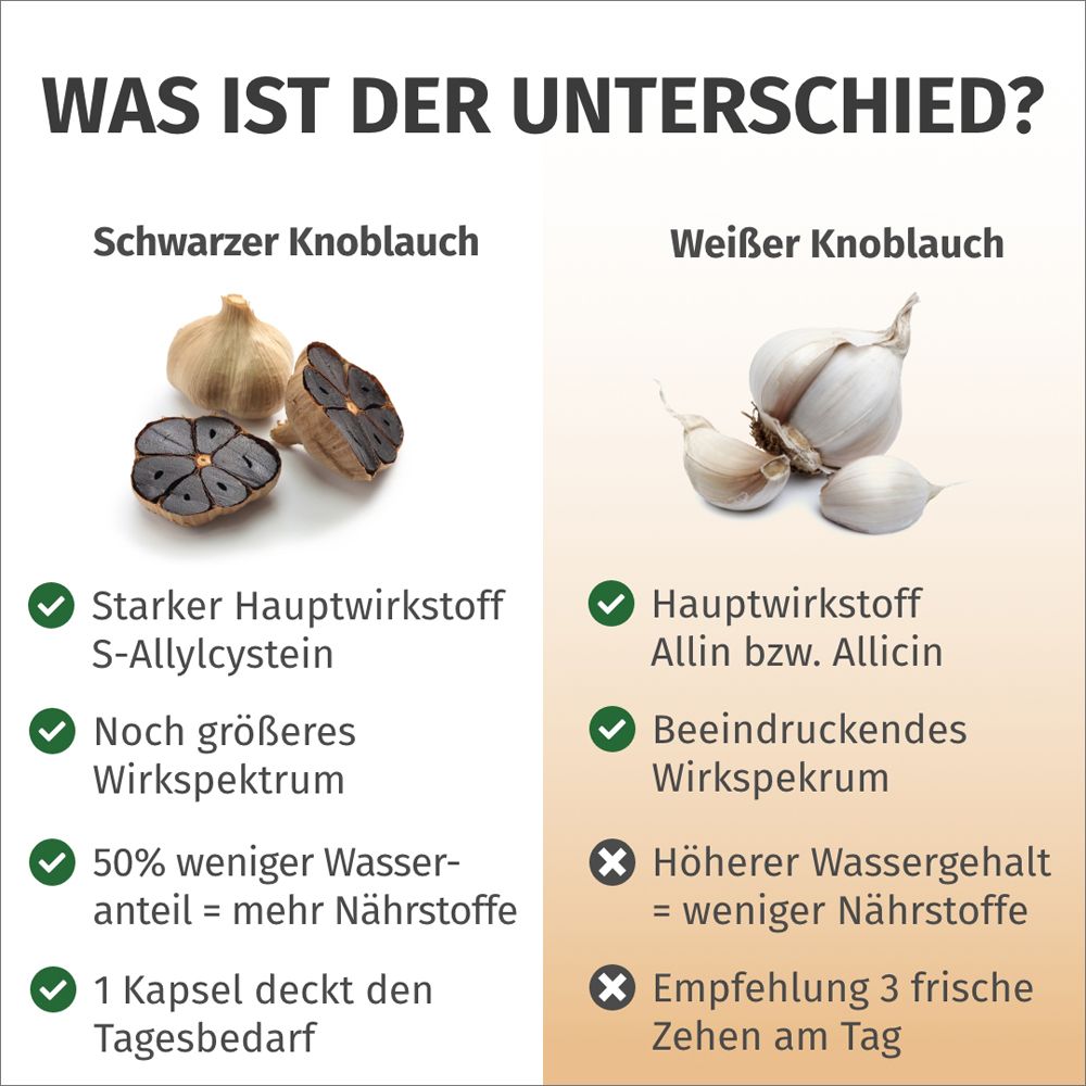 Vergleich Schwarzer und Weißer Knoblauch: Wirkstoffe, Nährstoffe.