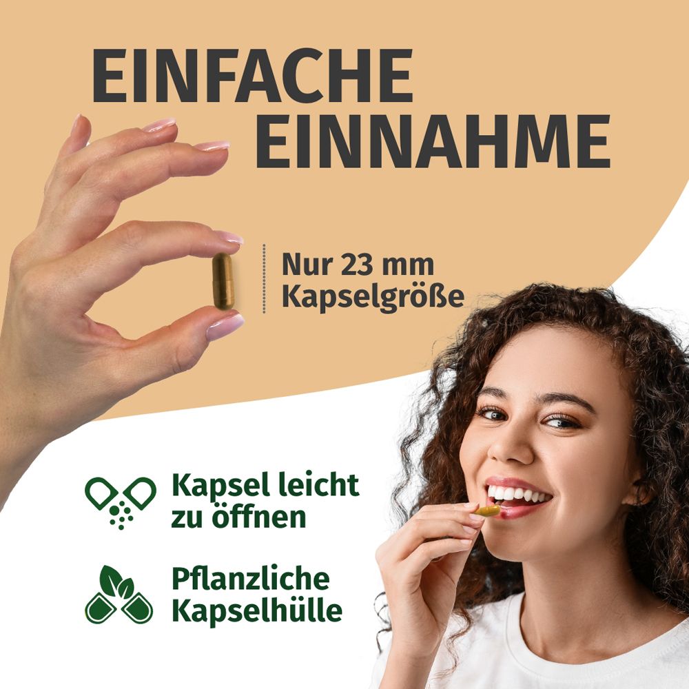 Einfache Einnahme: 23 mm Kapselgröße, pflanzliche Hülle.