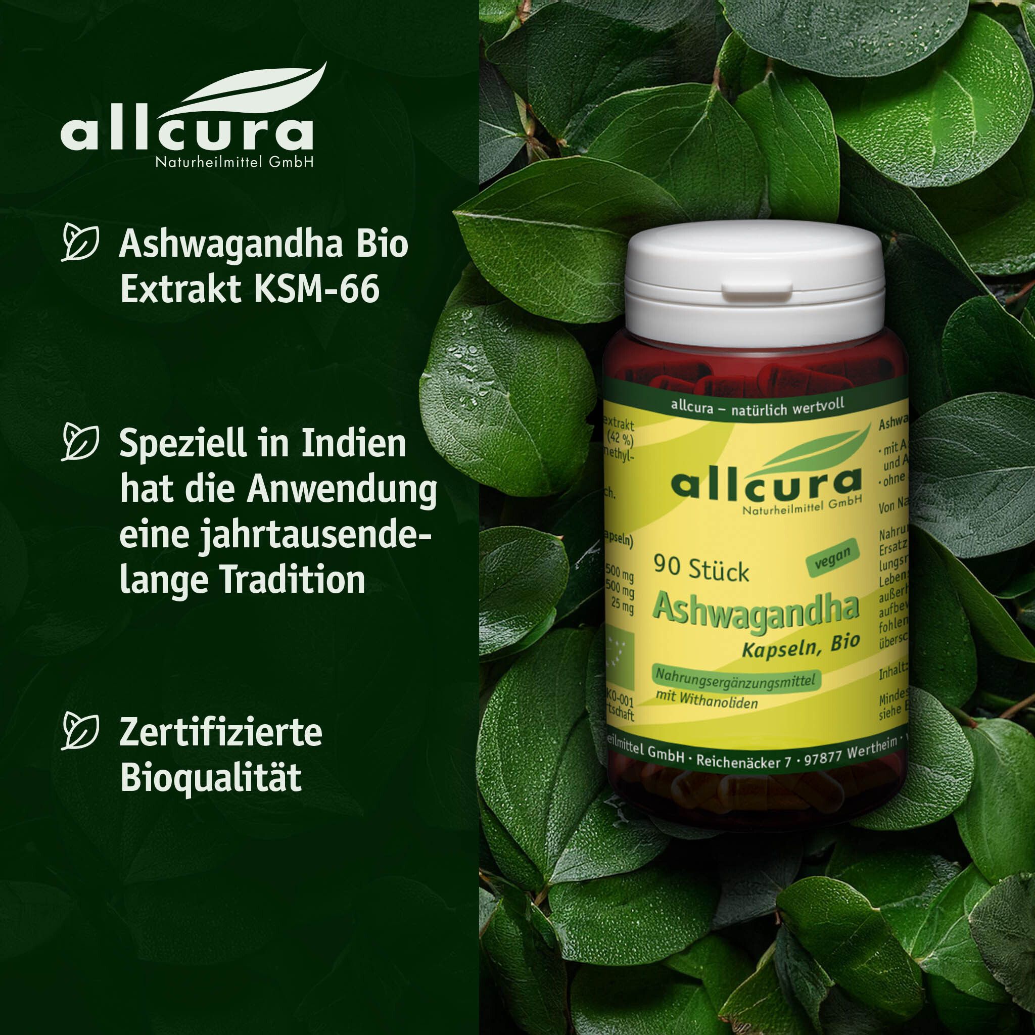 Grüne Blätter umgeben eine Flasche mit allcura Ashwagandha Kapseln, Bio. Text: Ashwagandha Bio Extrakt KSM-66, Bioqualität.