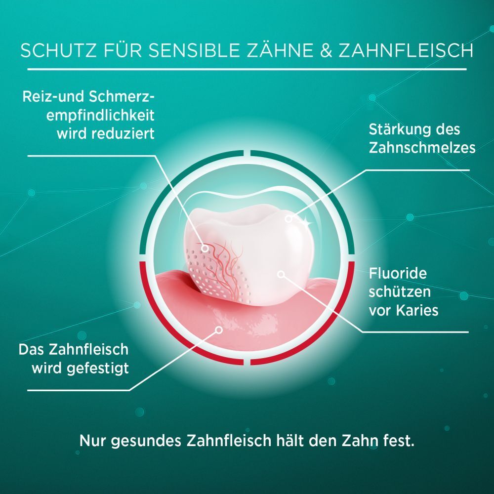 Grafik: Zahn und Zahnfleisch. Beschriftungen: Schutz für sensible Zähne & Zahnfleisch.