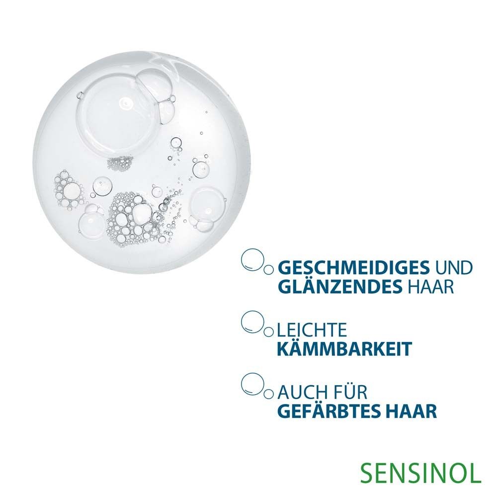 Blasen mit Text: 'Geschmeidiges und glänzendes Haar', 'Leichte Kämmbarkeit', 'Auch für gefärbtes Haar'.