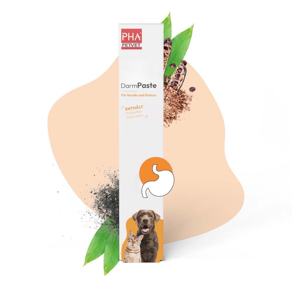Emballage blanc avec nom et logo du produit. Image d'un chien et d'un chat. Texte : DarmPaste, pour chiens et chats. Fond avec feuilles.