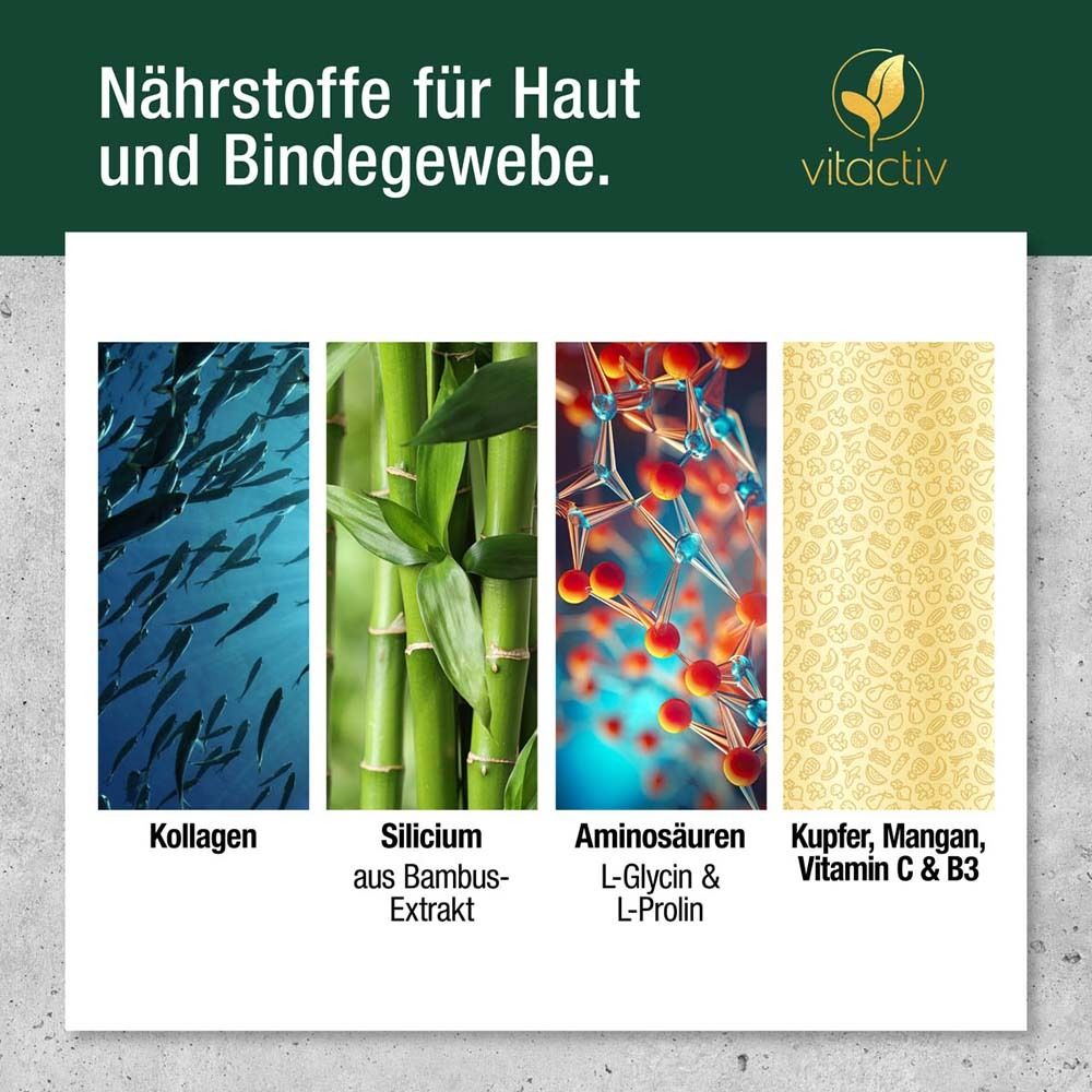 Grafische Darstellung von Inhaltsstoffen: Kollagen, Bambus-Extrakt, Aminosäuren, Kupfer.