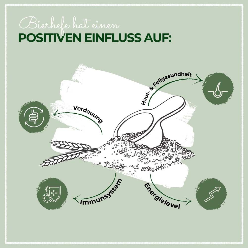 Grafik mit Icons und Text. Text: Bierhefe hat positiven Einfluss auf: Verdauung, Immunsystem, Haut & Fell, Energielevel.