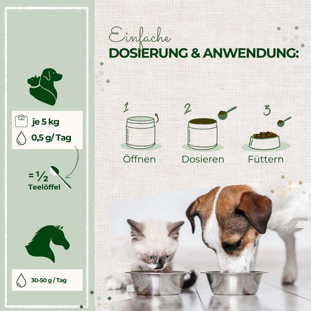 Grafik mit Dosierungsanleitung. Text: Einfache Dosierung & Anwendung. Hunde, Katzen, Pferde. Fütterungsempfehlung.