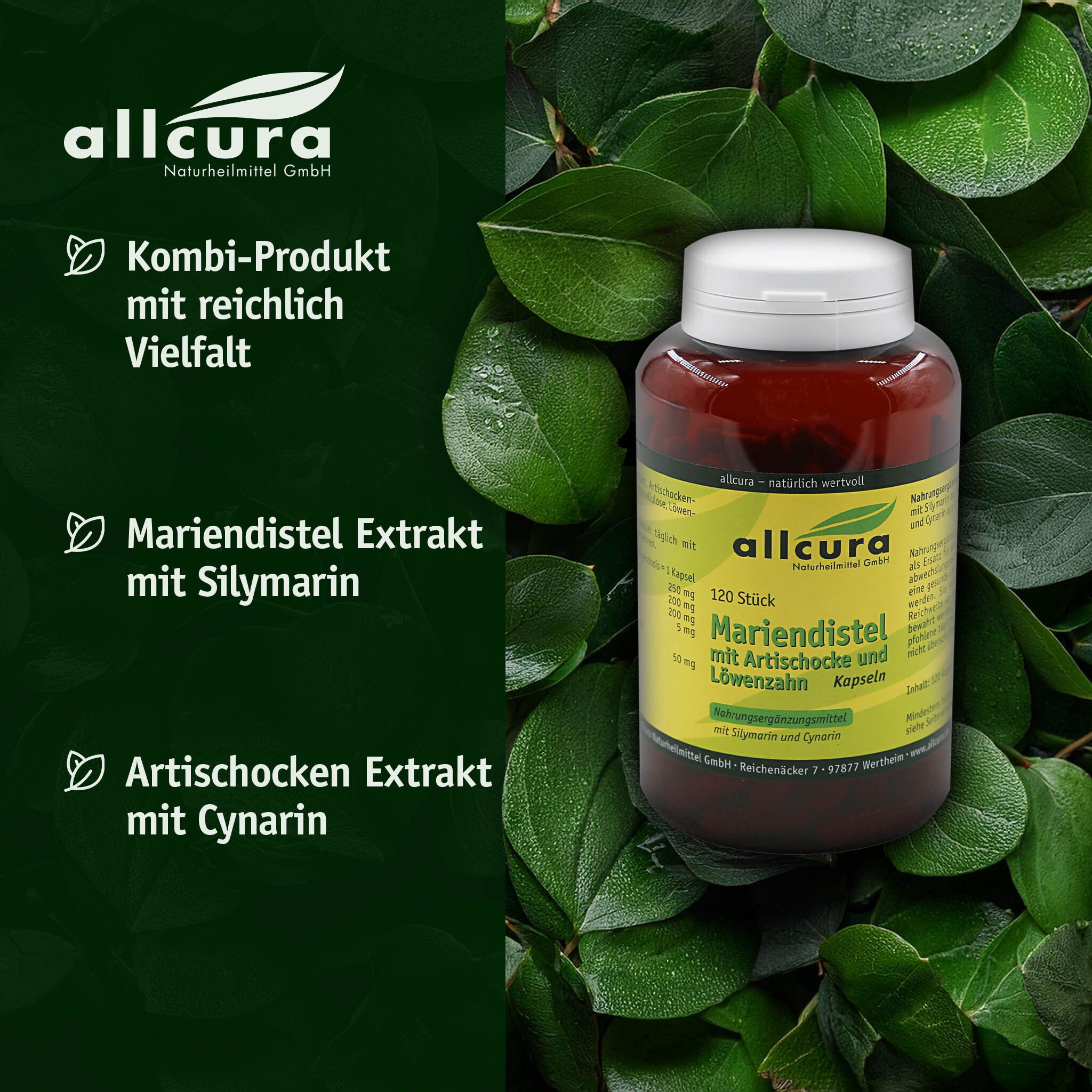 Flacon brun à bouchon blanc, entouré de feuilles vertes. Inscription : allcura Mariendistel mit Artischocke und Löwenzahn.