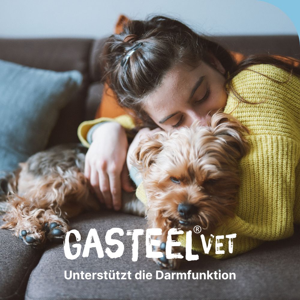 Gasteel® Vet Kapseln zur Unterstützung der Darmfunktion