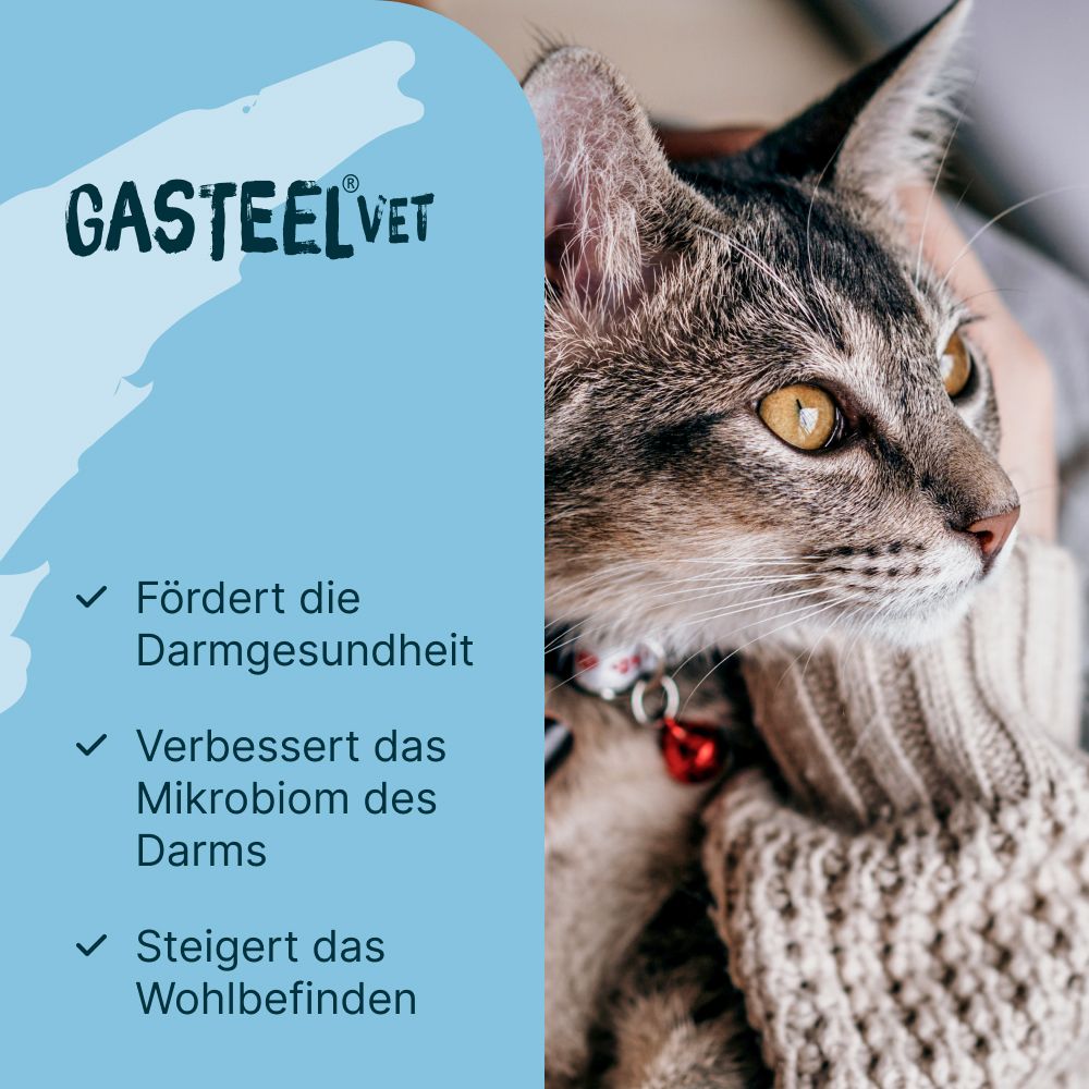 Gasteel® Vet Kapseln zur Unterstützung der Darmfunktion