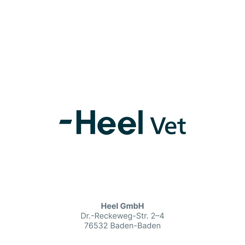 Gasteel® Vet Kapseln zur Unterstützung der Darmfunktion
