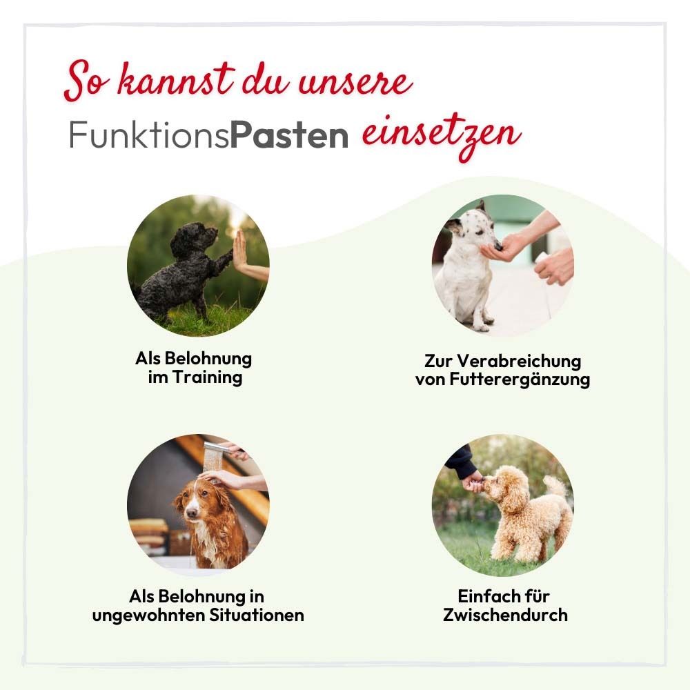 Vier Bilder zeigen Hunde und Katzen. Text: So kannst du unsere FunktionsPasten einsetzen.