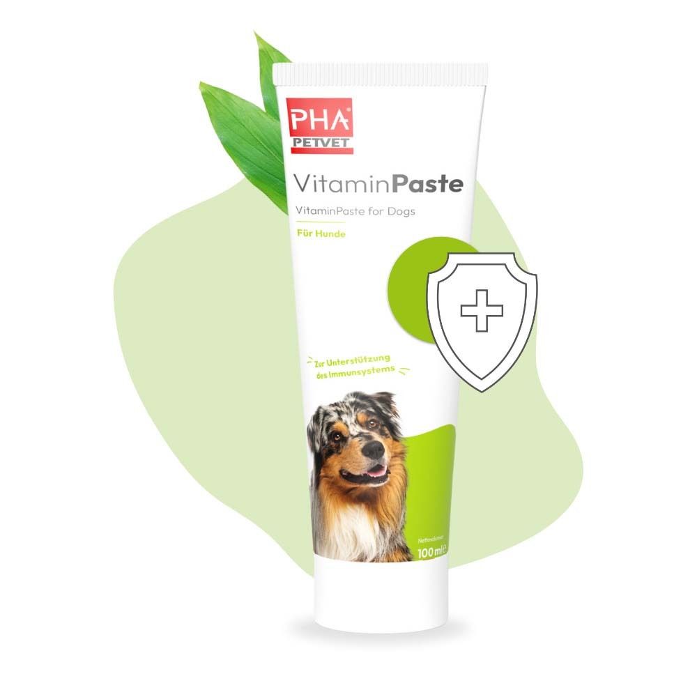 Weiße Tube mit grünem Akzent und Logo. Aufschrift: PHA PETVET VitaminPaste für Hunde. Abbildung eines Hundes.
