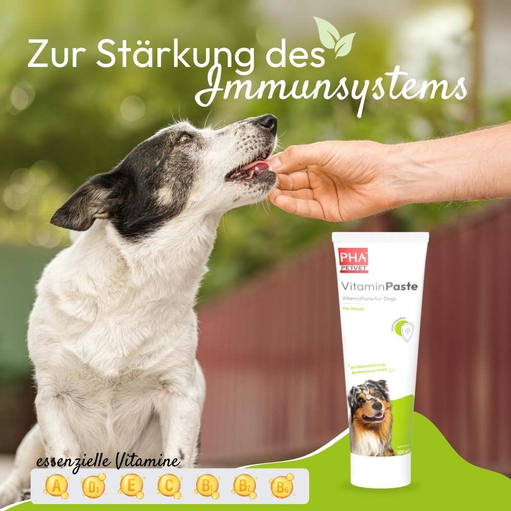 Ein Hund frisst Vitaminpaste von einer Hand. Text: Zur Stärkung des Immunsystems. Essentielle Vitamine.