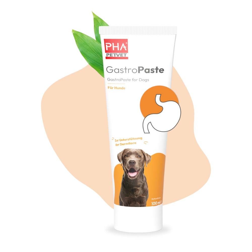Tube blanc avec inscription PHA PetVet GastroPaste pour chiens. Image d'un chien. Fond orange avec feuilles.