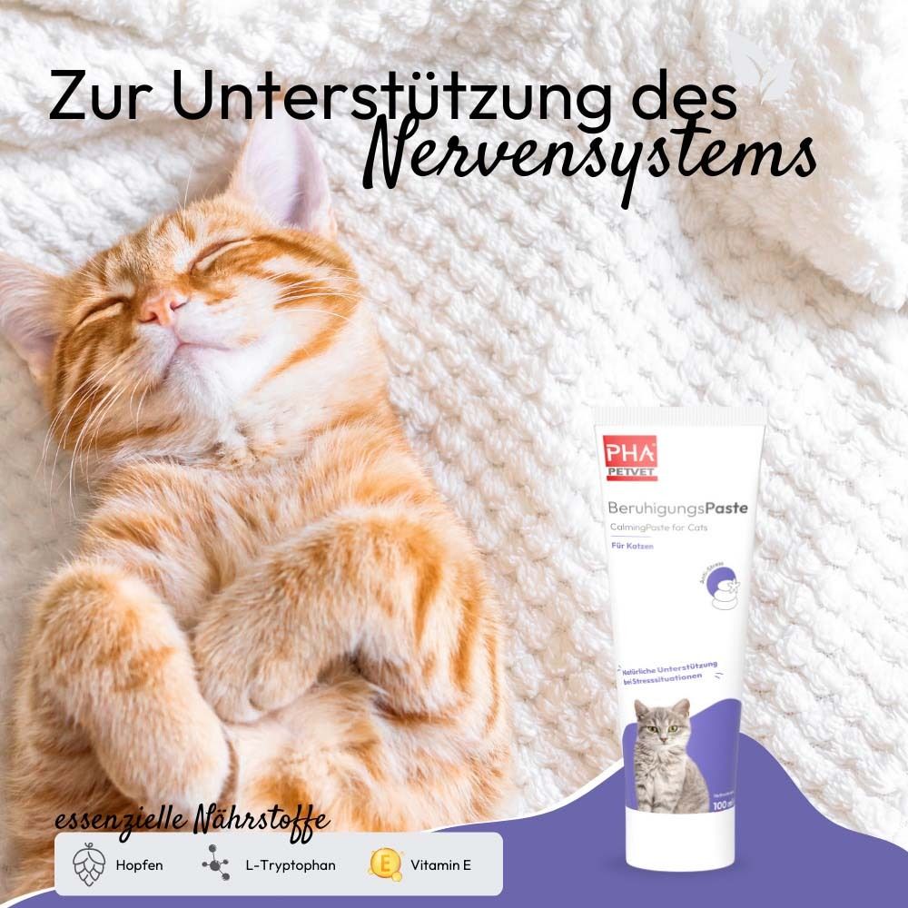 Katze liegt auf Decke neben Tube. Text: BeruhigungsPaste, CalmingPaste for Cats. Hopfen, L-Tryptophan, Vitamin E.