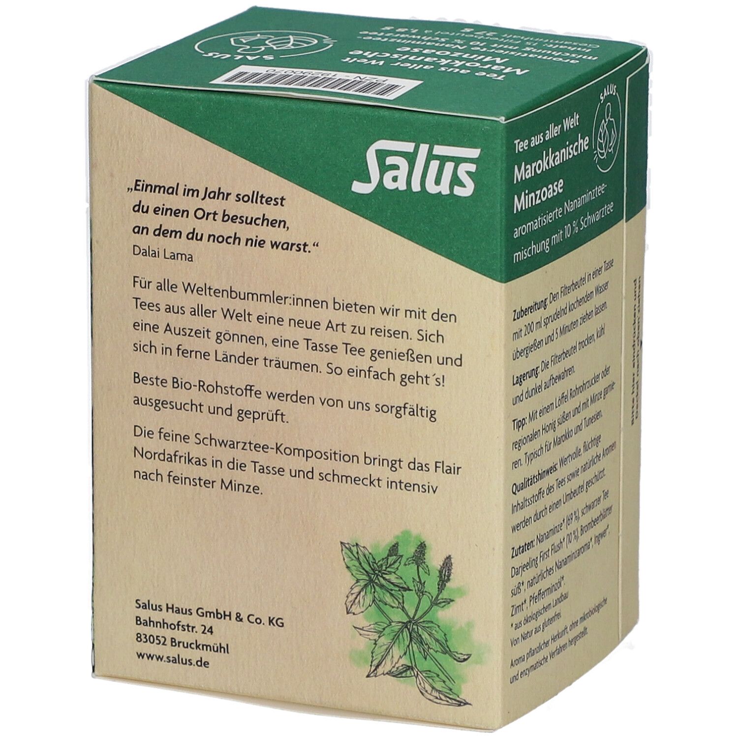 Salus Bio Oasis de menthe marocaine - Mélange de tisanes