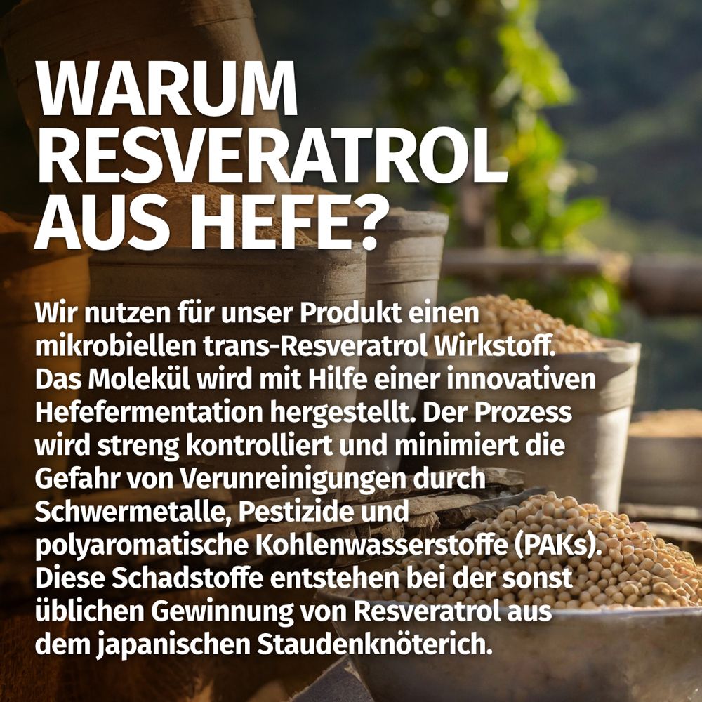Pourquoi le resvératrol issu de levure? Principe actif trans-resvératrol microbien.