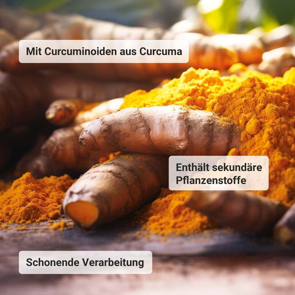 Racines et poudre de curcuma. Texte : Contient des substances végétales secondaires. Transformation douce.