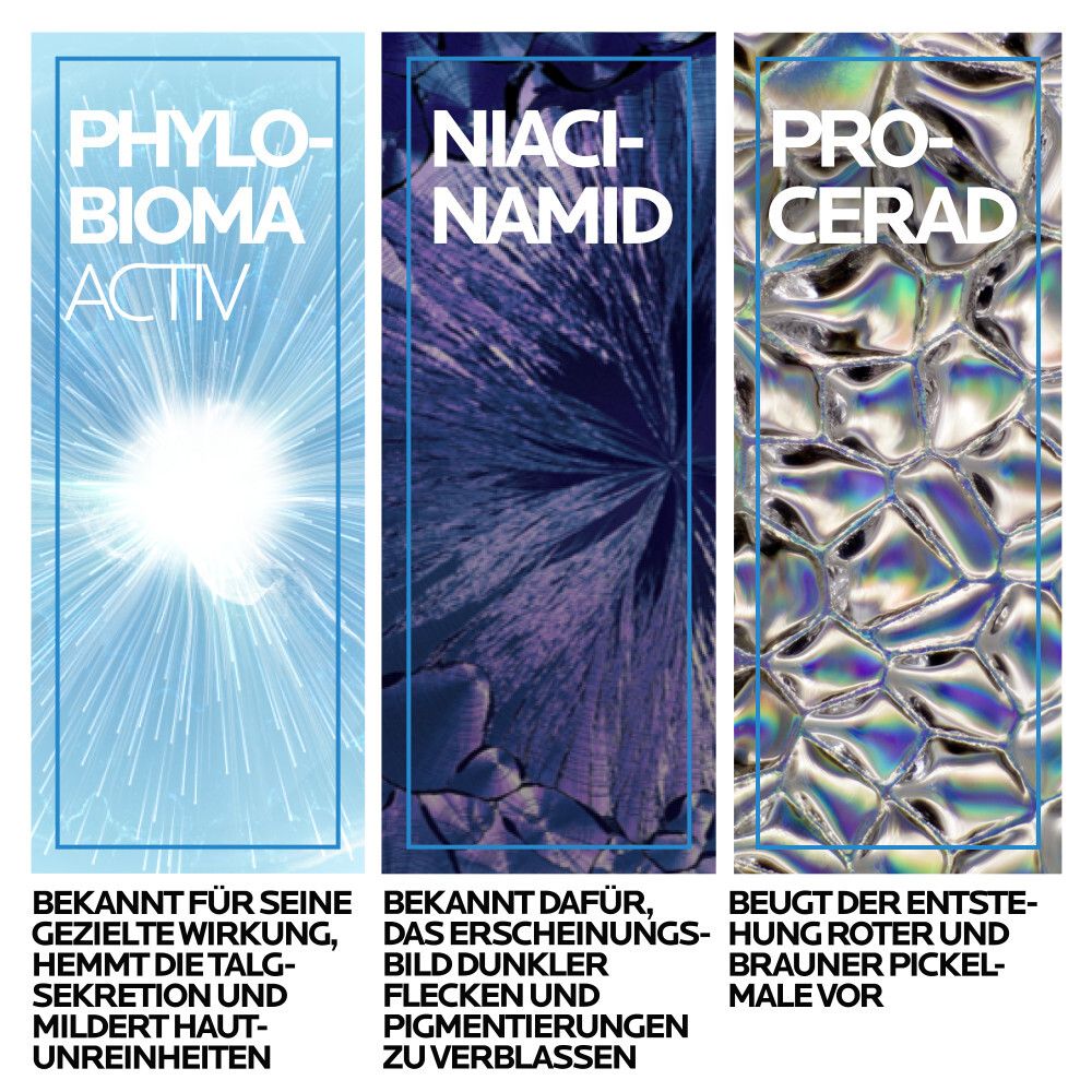 Drei farbige Felder mit Inhaltsstoff-Informationen: Phylobioma Activ, Niacinamid, Pro-Cerad.