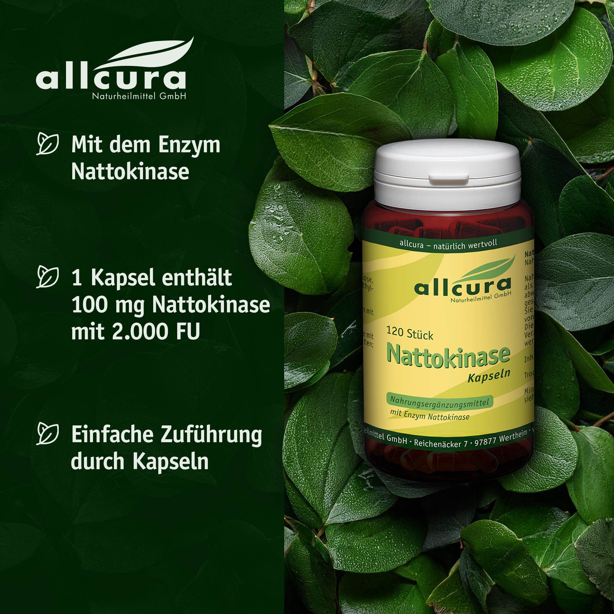 Braune Flasche mit weißen Deckel. Umgeben von Blättern. Text: Mit Enzym Nattokinase, 1 Kapsel enthält 100 mg Nattokinase.