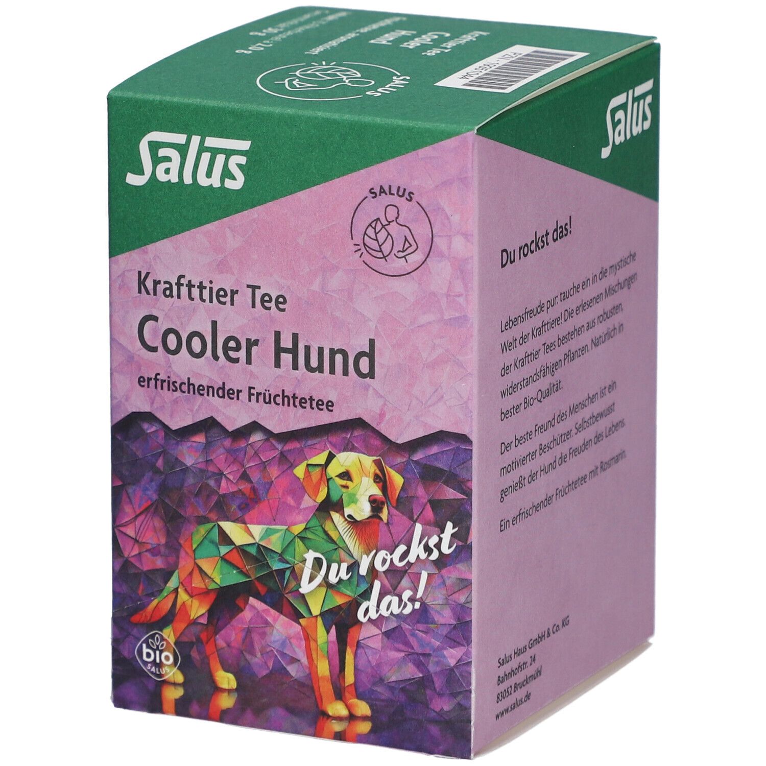 Salus Tisane Chien cool - Tisane aux fruits bio - 15 sachets filtres