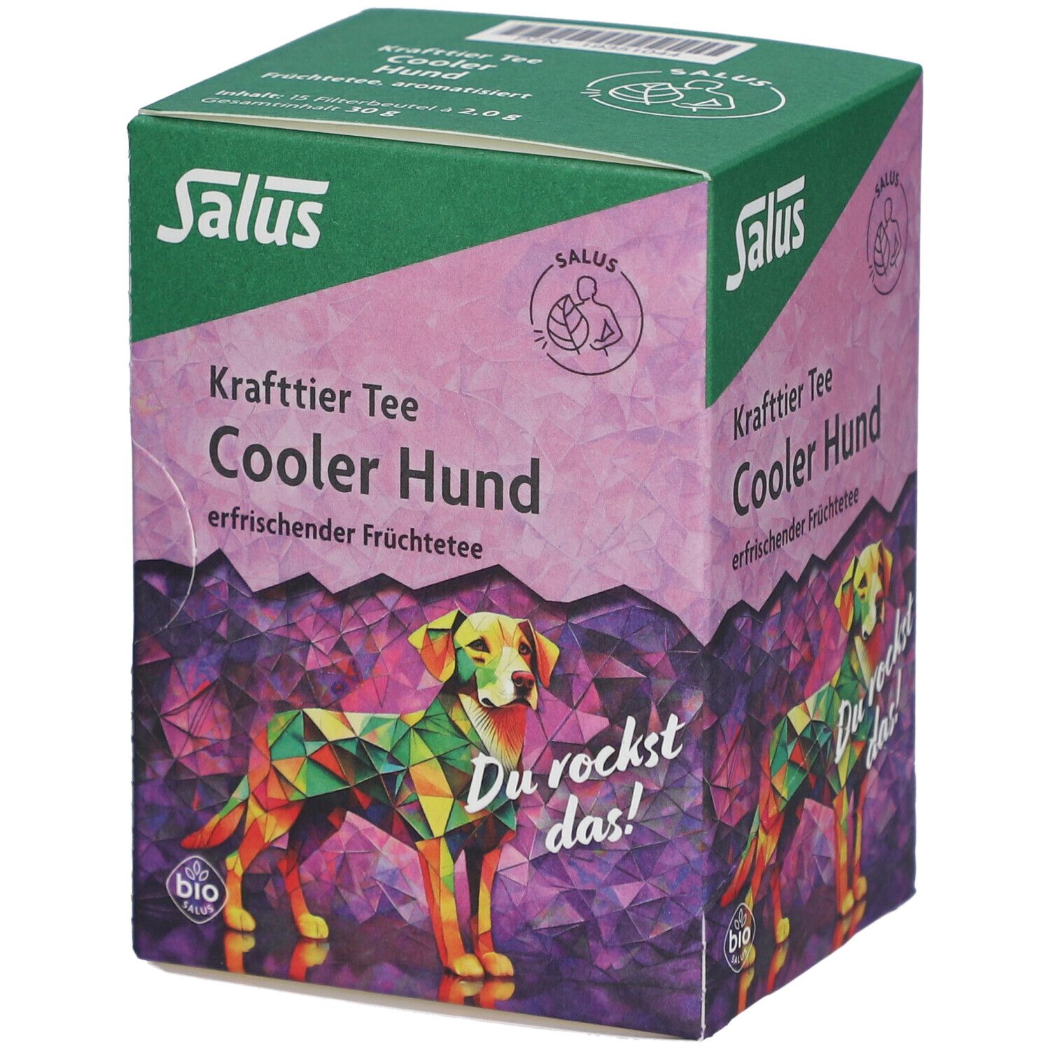 Salus Tisane Chien cool - Tisane aux fruits bio - 15 sachets filtres