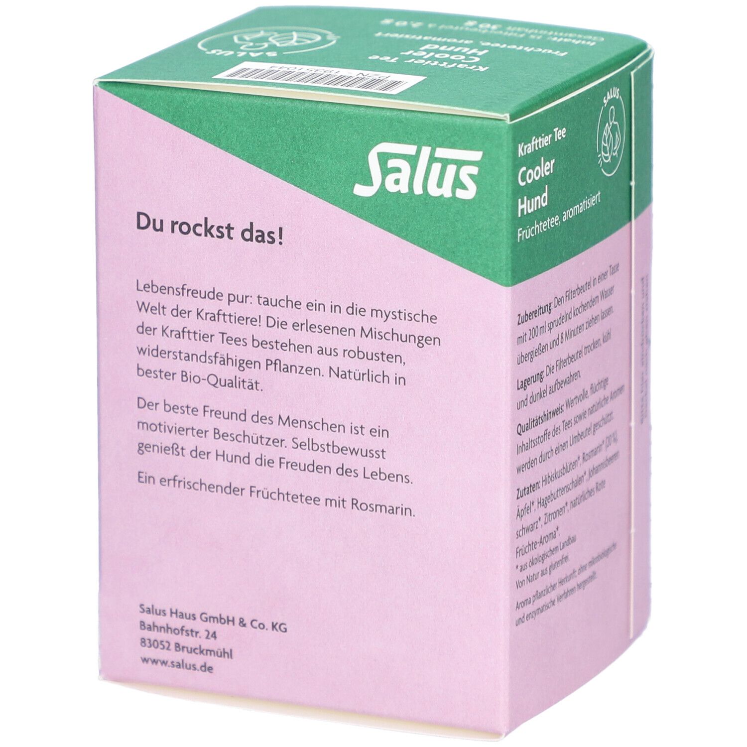 Salus Tisane Chien cool - Tisane aux fruits bio - 15 sachets filtres