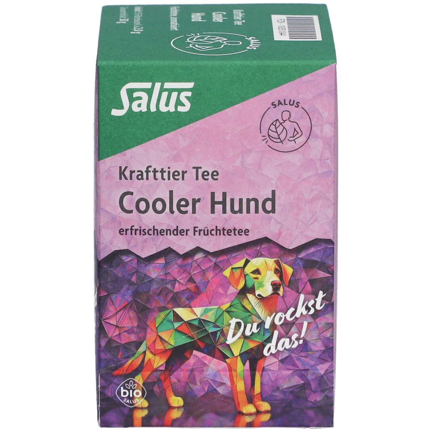 Salus Tisane Chien cool - Tisane aux fruits bio - 15 sachets filtres