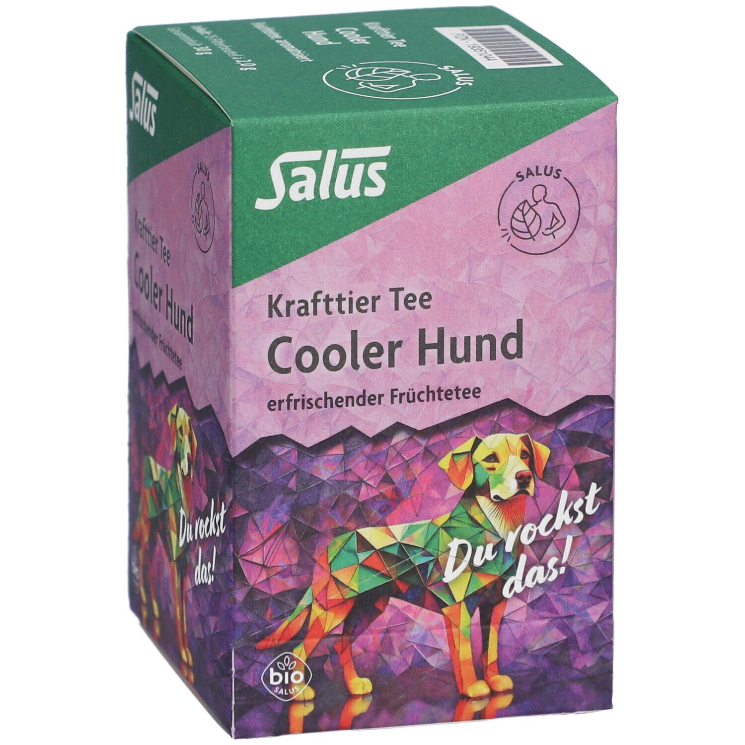 Salus Tisane Chien cool - Tisane aux fruits bio - 15 sachets filtres