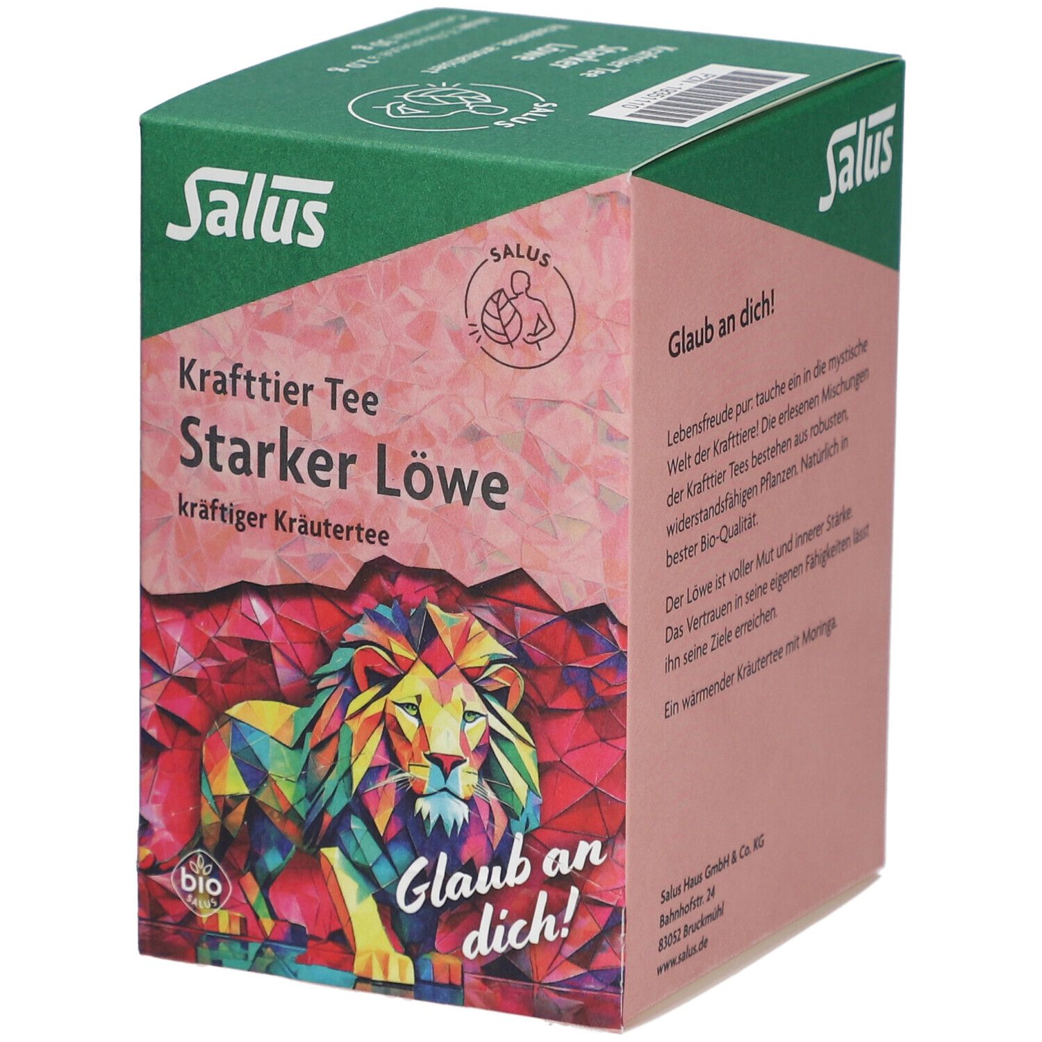 Salus Tisane de force Lion fort bio - 15 sachets-filtre