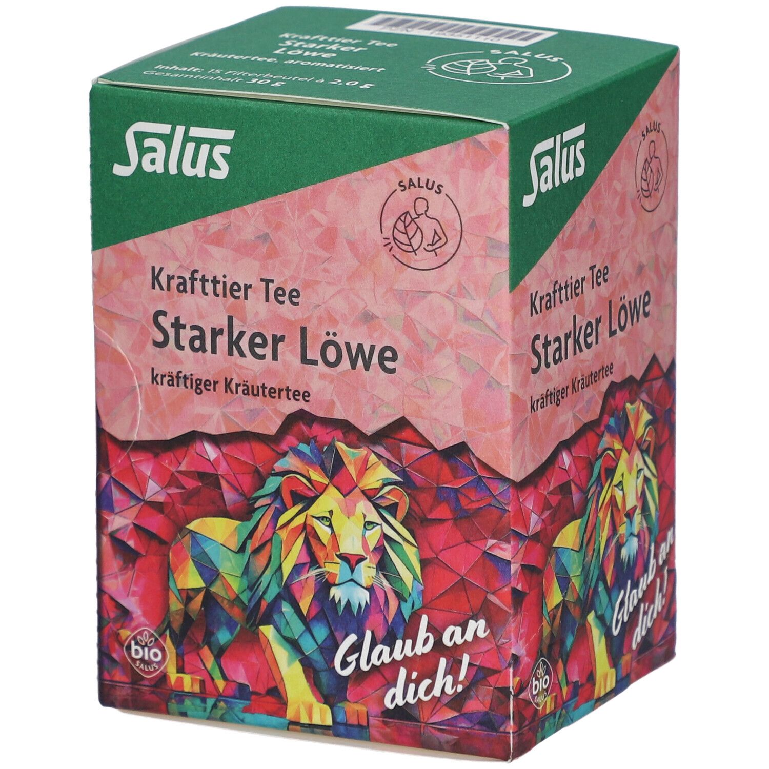 Salus Tisane de force Lion fort bio - 15 sachets-filtre