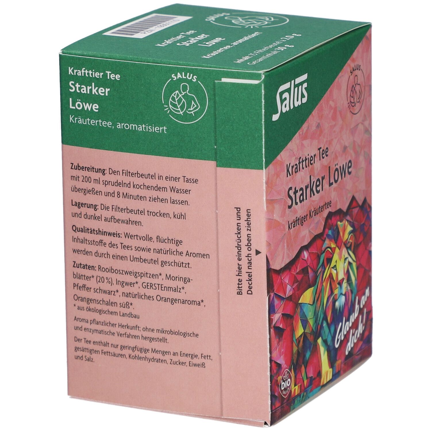 Salus Tisane de force Lion fort bio - 15 sachets-filtre