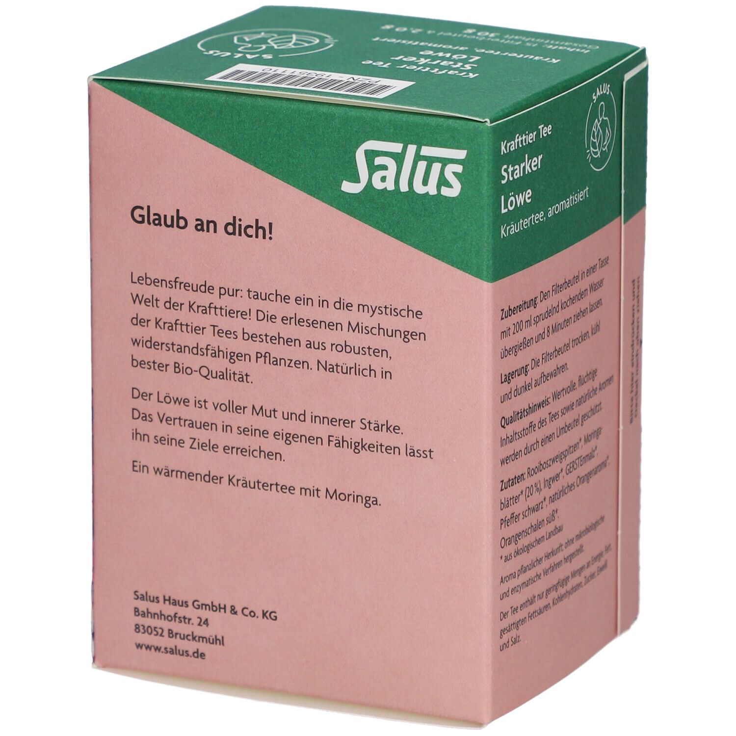 Salus Tisane de force Lion fort bio - 15 sachets-filtre