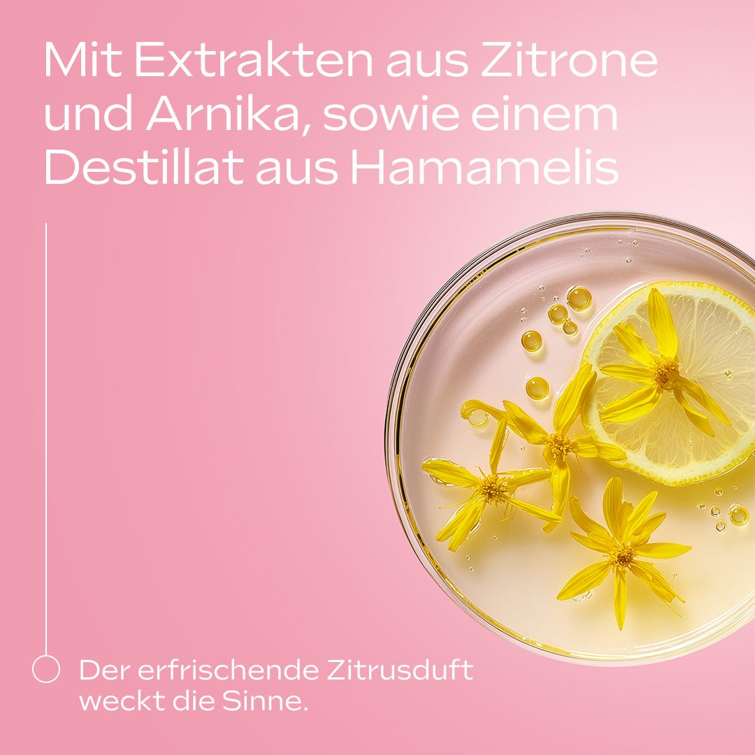 Zitrone, Arnikablüten und Hamamelis-Destillat. Auf rosa Hintergrund. Nahaufnahme.