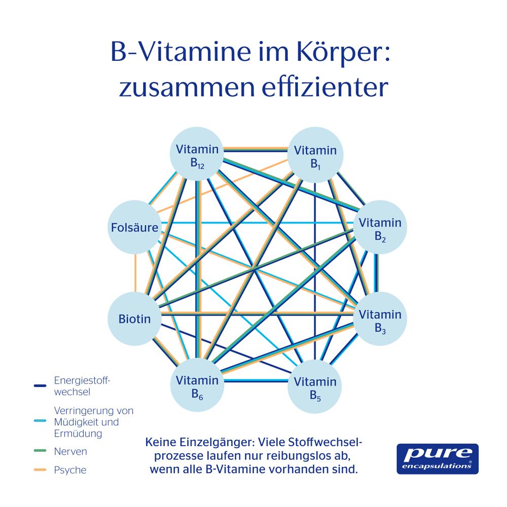 Graphique montrant les interactions des vitamines B pour le métabolisme, l'énergie, les nerfs et la psyché.