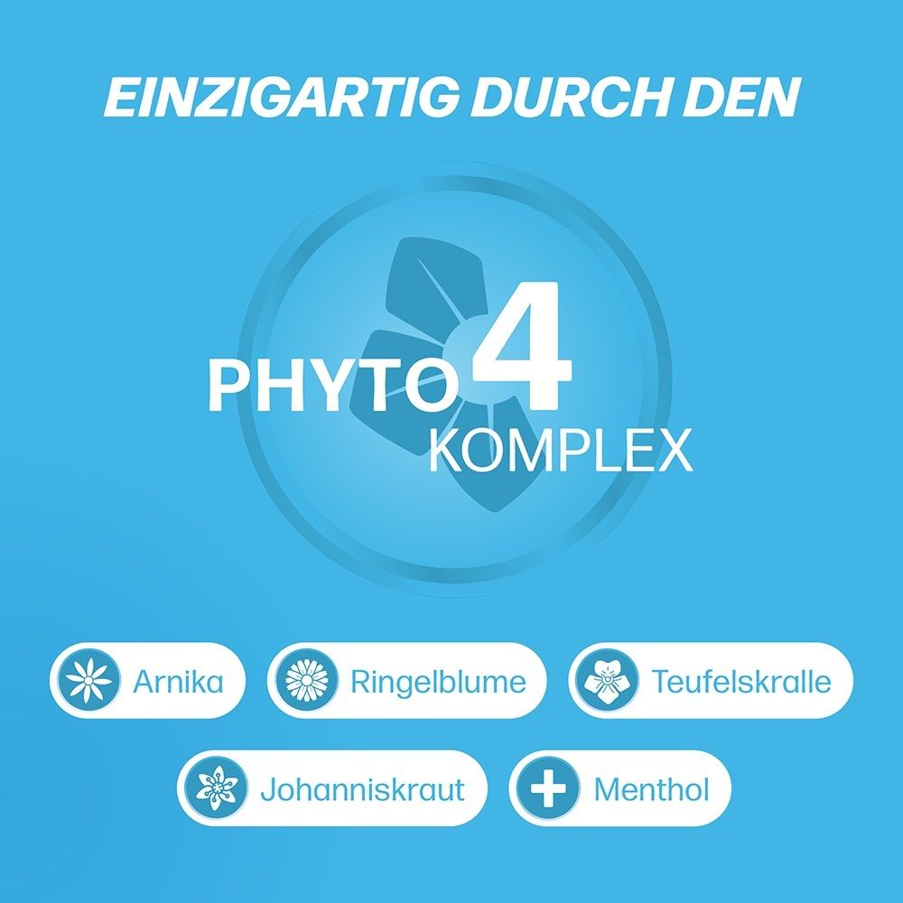 Symbole du Complexe Phyto 4 avec Arnica, Calendula, Harpagophytum, Millepertuis, Menthol.