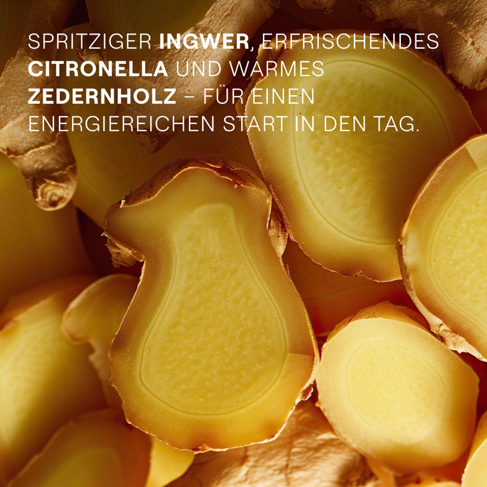 Nahaufnahme von Ingwer- und Zedernholzscheiben. Text: spritziger Ingwer, erfrischendes Citronella und warmes Zedernholz.
