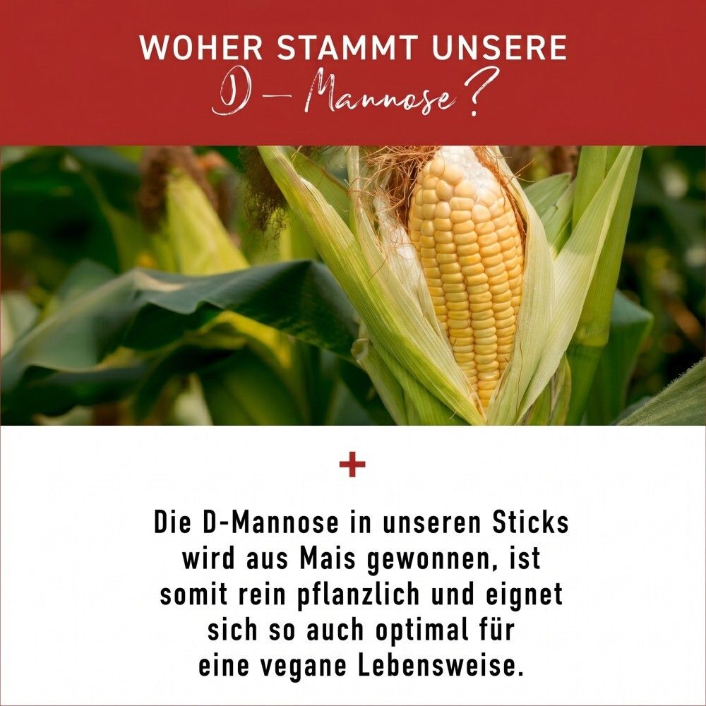 Informations nutritionnelles pour sticks D-Mannose : 30 sticks, 75g. Vegan, sans gluten, sans lactose.