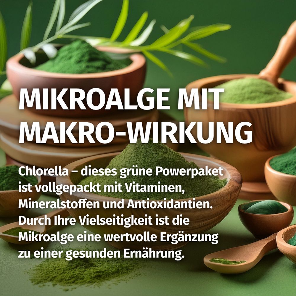 Poudre verte d'algues microscopiques dans des bols en bois. Chlorelle : Riche en vitamines, minéraux, antioxydants.