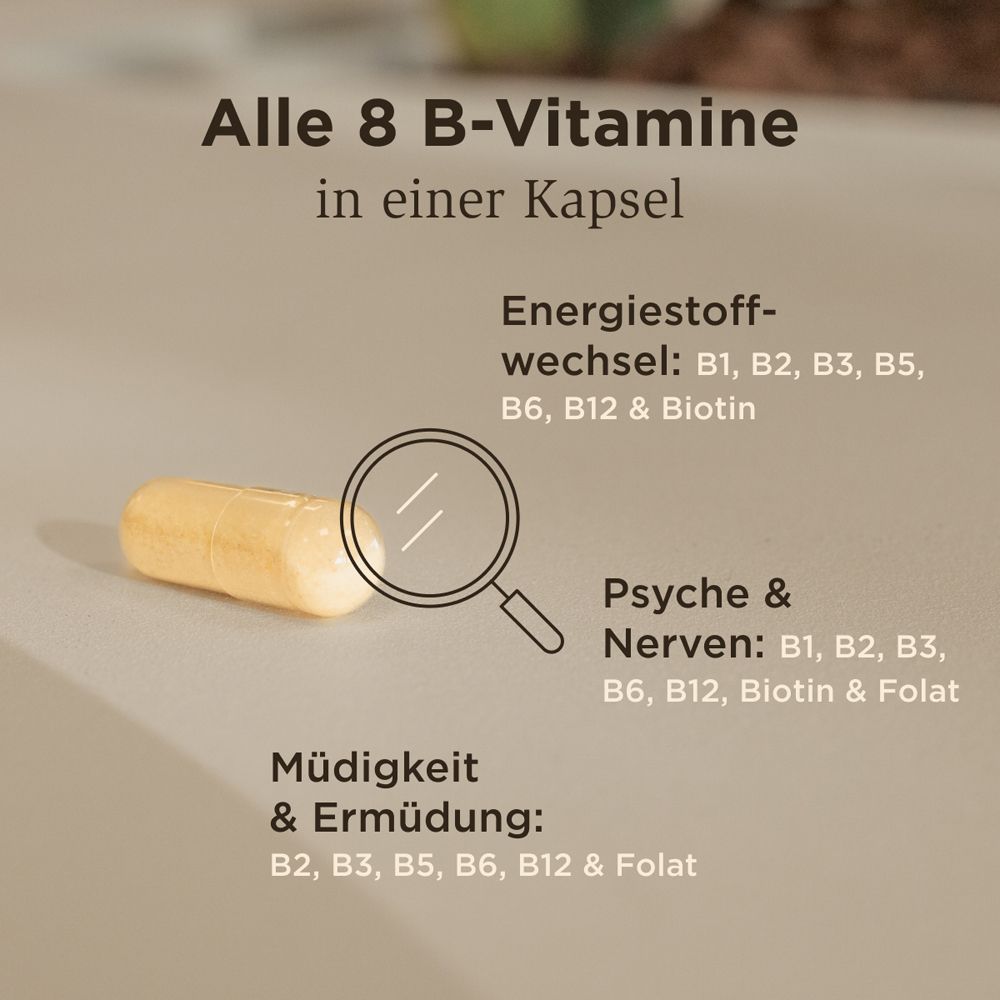 Gélule jaune à côté du texte: Les 8 vitamines B en une gélule. Énergie, psyché & nerfs, fatigue & épuisement.