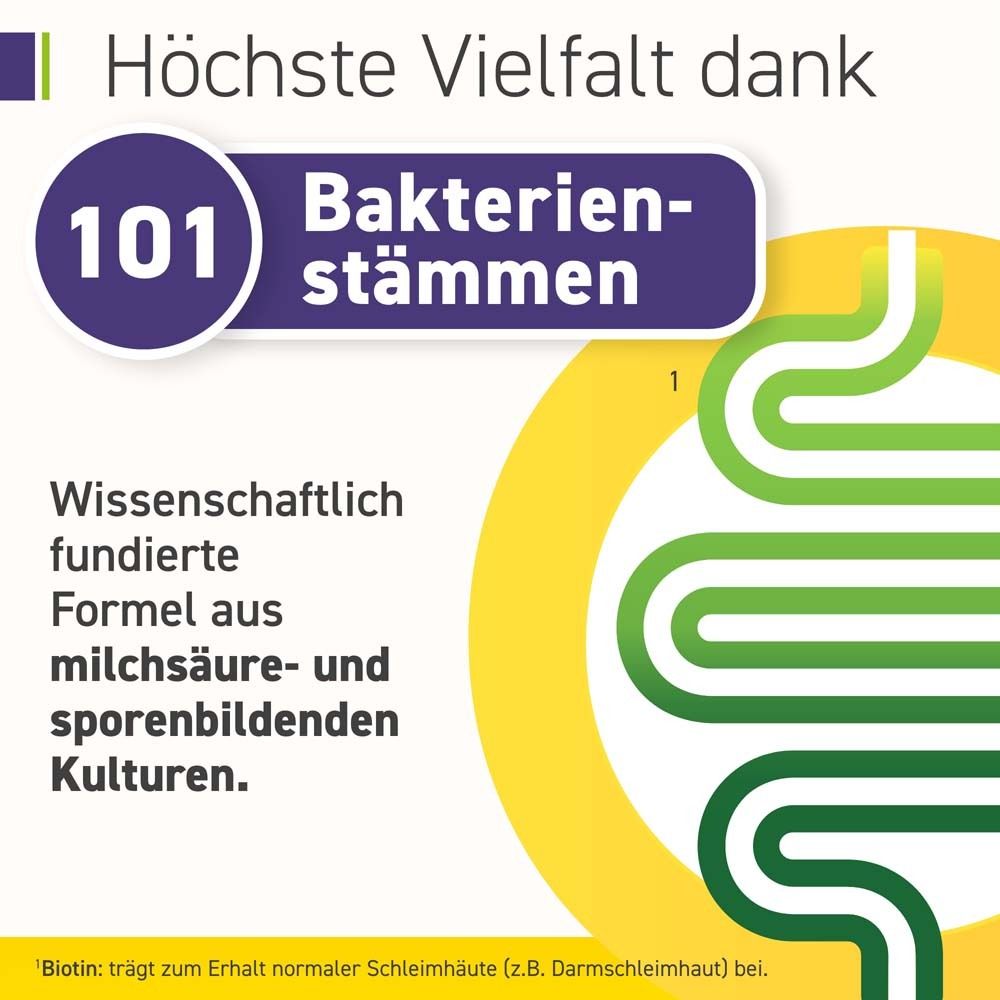 Graphique avec texte : 101 souches bactériennes. Formule scientifiquement prouvée à base de cultures lactiques et sporulées.