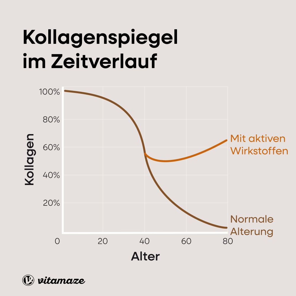 Graphique : Niveaux de collagène au fil du temps. Vieillissement normal vs. ingrédients actifs. Vitamaze.