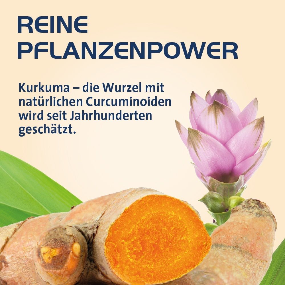 Kurkuma-Wurzeln und Blüte mit Text „Reine Pflanzenpower“.