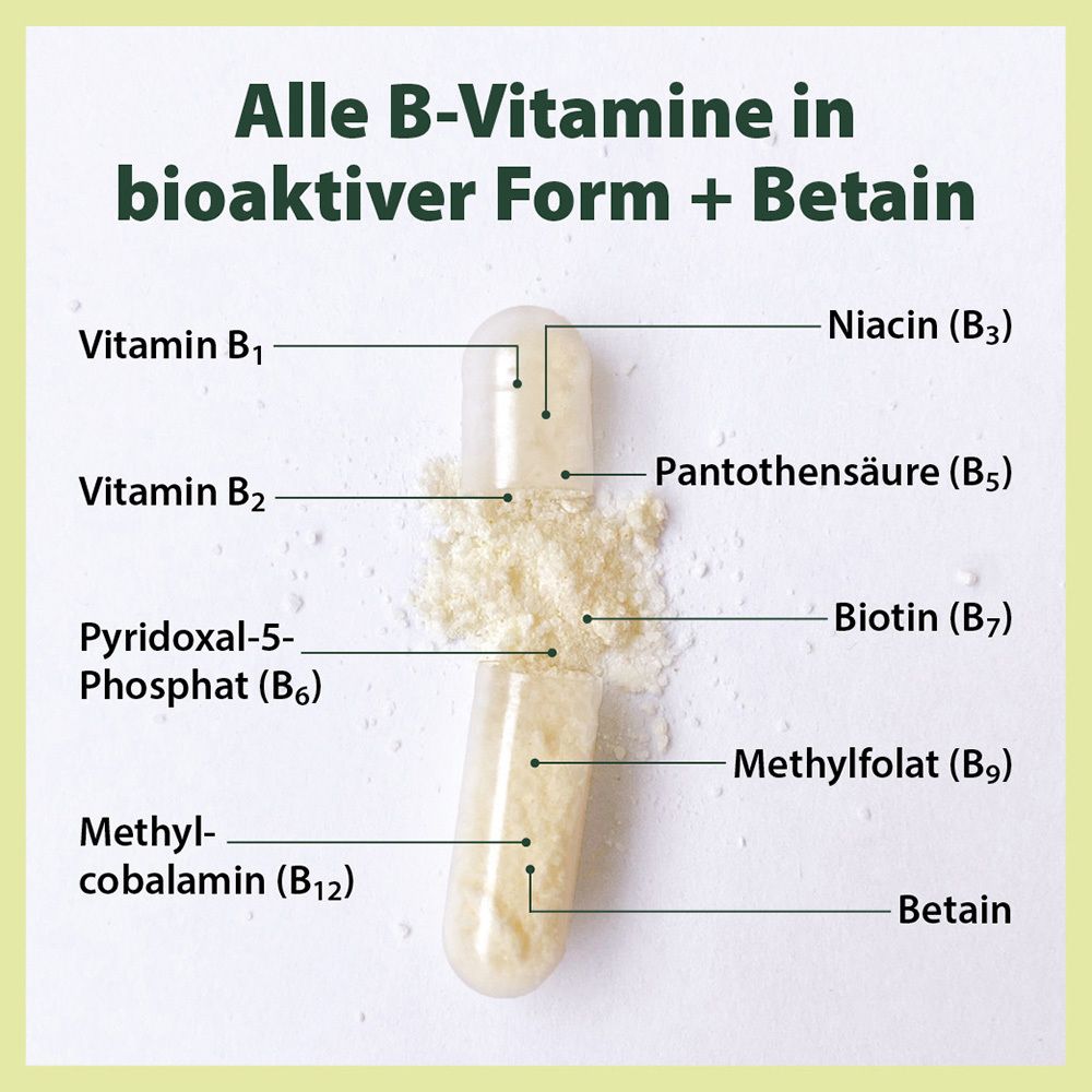 Kapsel geöffnet mit Inhaltsstoffen. Beschriftung: Vitamin B1, B2, B6, B12, Methylfolat, Betain, Niacin, Pantothensäure, Biotin.