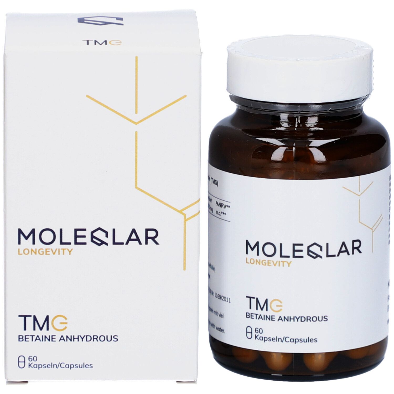 Braune Glasflasche und Schachtel. Aufschrift: MOLEQLAR, TMG, Betain Anhydrous, 60 Kapseln. Weißes Etikett.