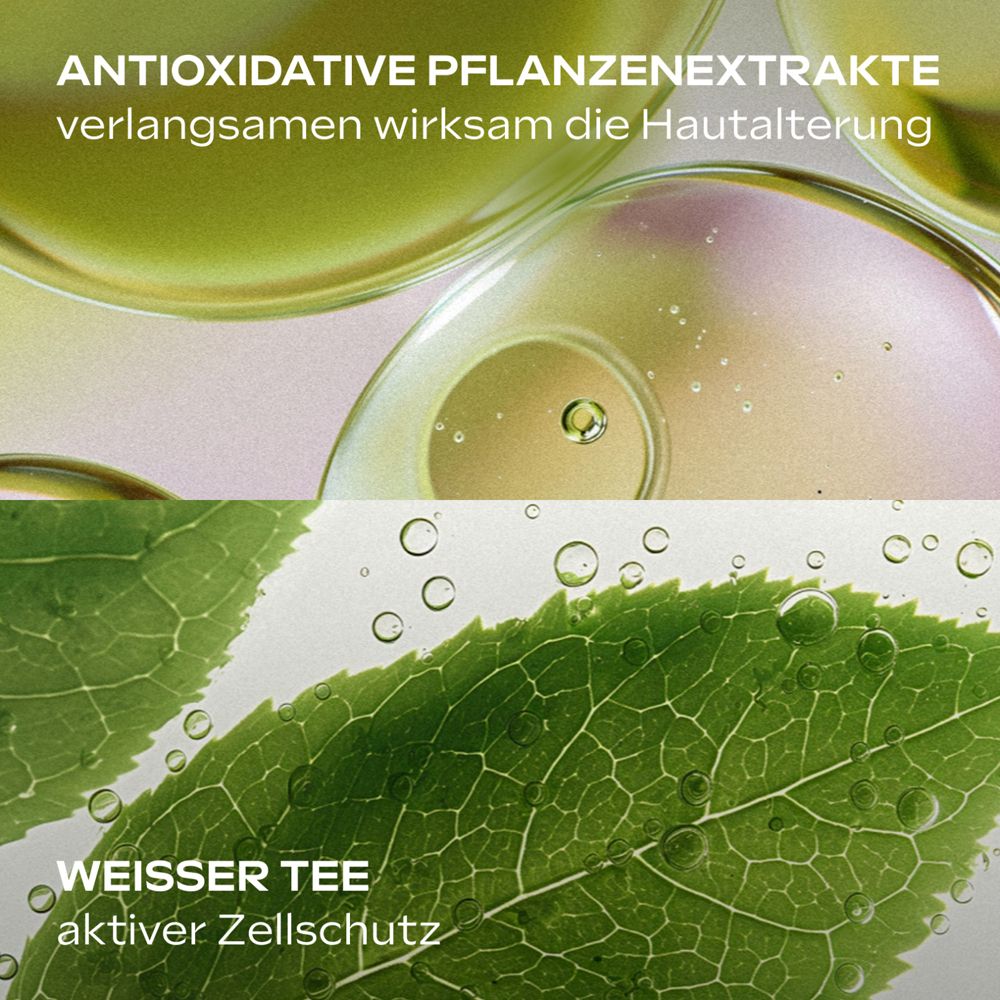Gros plan sur feuilles et liquide. Texte : Extraits végétaux antioxydants ralentissent le vieillissement. Thé blanc, protection cellulaire active.